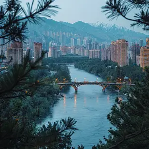 新区夜市美食攻略